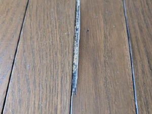 張り替えの目安